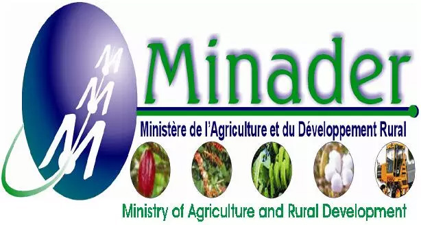 MINADER