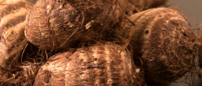 cocoyam_taro-root